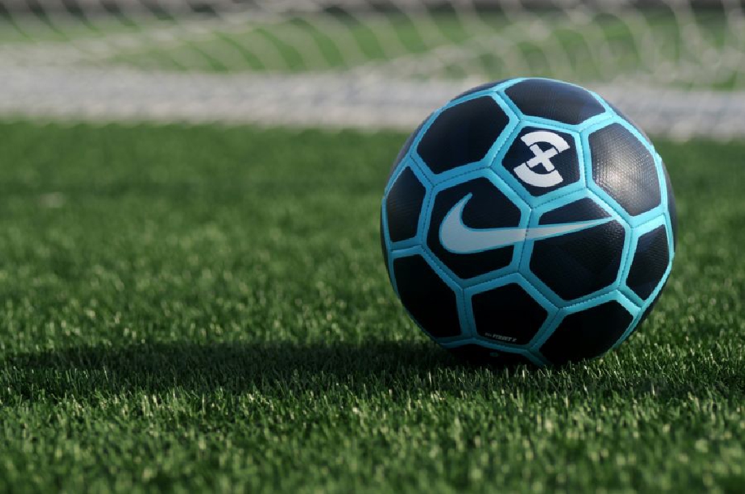 images/football_pitch_and_ball.jpg
